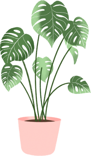 Indoor plant illustration 